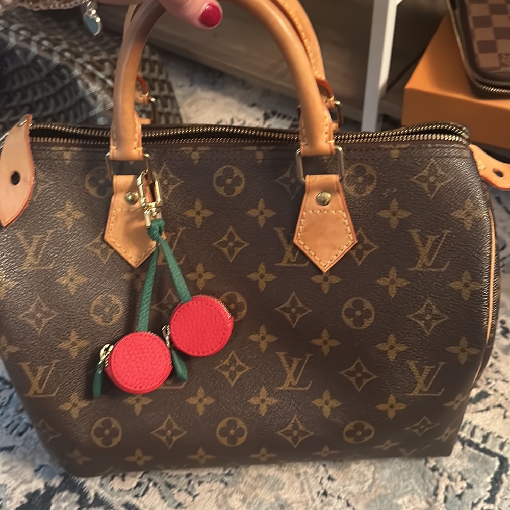 Louis Vuitton Speedy Bag